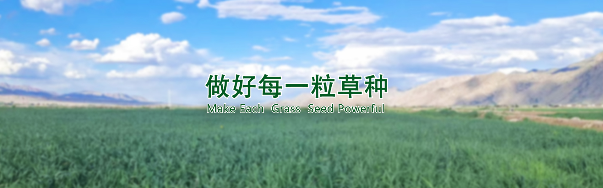 亚洲熟女乱色一区二区三区
