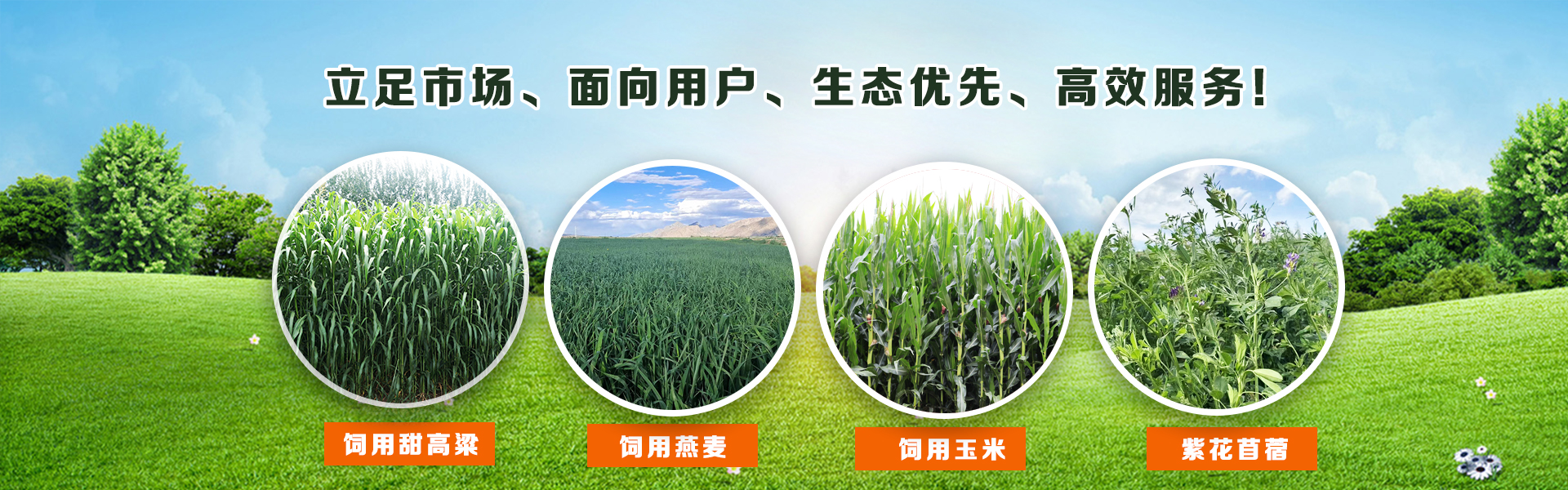 亚洲熟女乱色一区二区三区