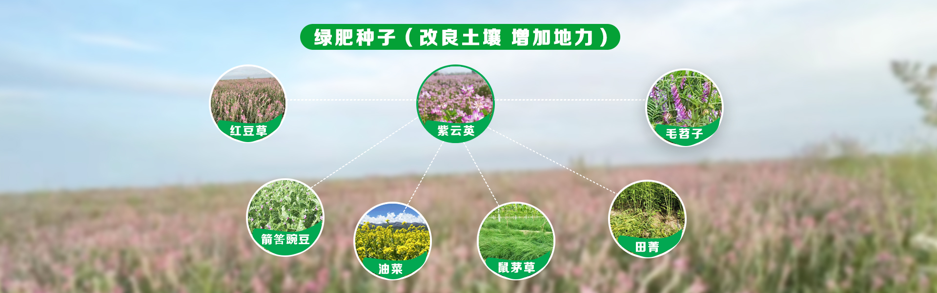 亚洲熟女乱色一区二区三区