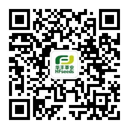 亚洲熟女乱色一区二区三区-国产精品成人在线-日本理伦片午夜理伦片-免费无码又黄又爽又刺激-把腿扒开让我添30分钟视频