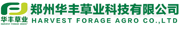 亚洲熟女乱色一区二区三区-国产精品成人在线-日本理伦片午夜理伦片-免费无码又黄又爽又刺激-把腿扒开让我添30分钟视频